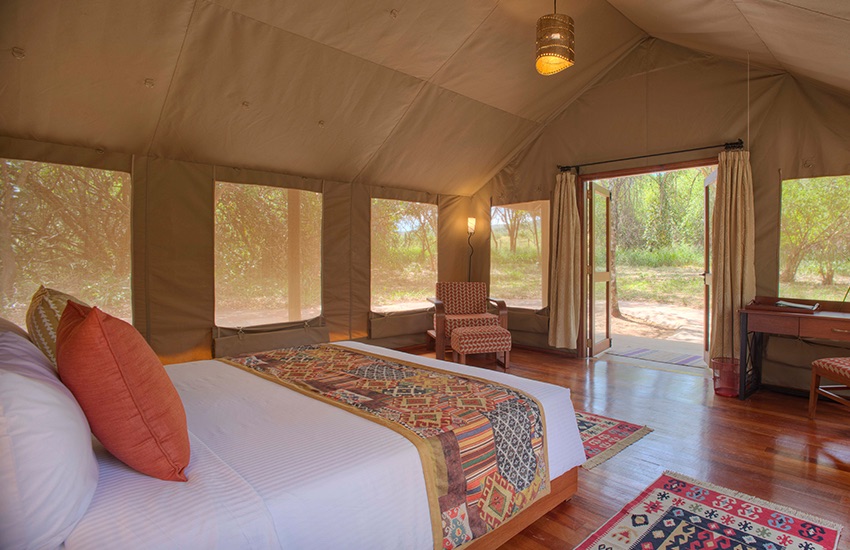 Luxury safari tent with king bed and hardwood floors