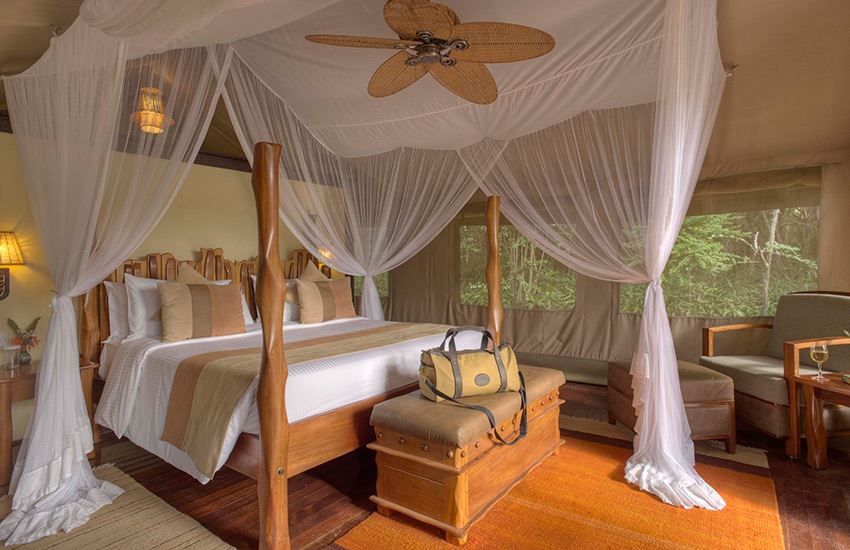 Four-poster canopy bed in luxury safari tent